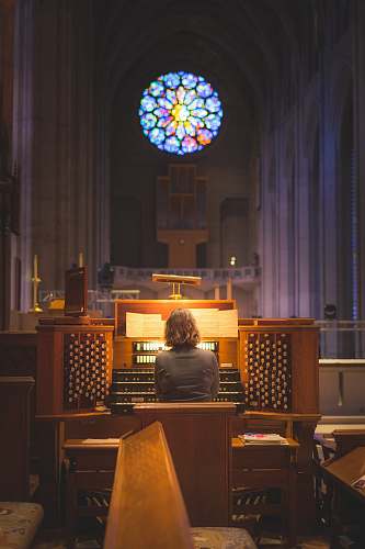 human person sitting in front of church organ people