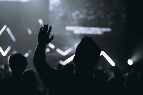 human silhouette of people in front of stage crowd