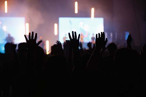 human silhouette of people standing in front of stage crowd
