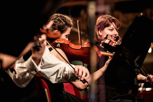 human women playing violins people