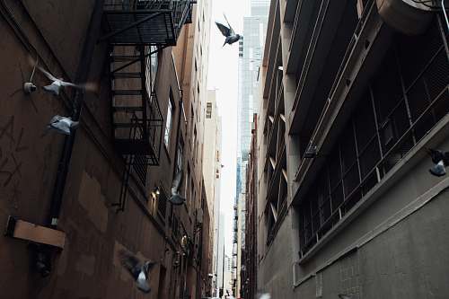 city brown concrete building street