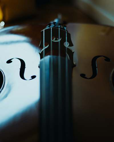 instrument brown violin on white table music