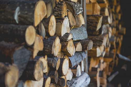 lumber shallow focus photography of firewood lot drum