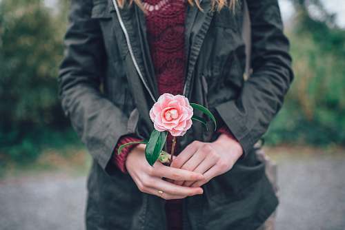 person woman holding pink rose standing near trees during daytime people