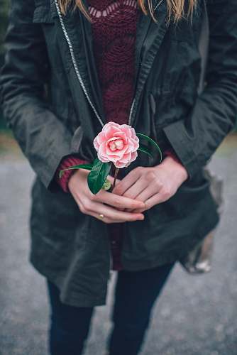 people woman in black leather jacket holding pink flower during daytime rose