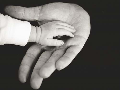 person child and parent hands photography hands