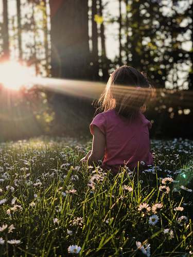 person girl sitting on daisy flowerbed in forest human
