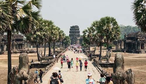 person group of people touring on landscape tree