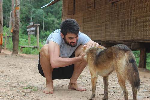 person man petting brown dog human