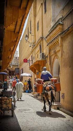 person man riding horse on road morocco