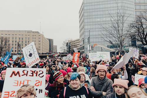 human people protesting outdoor during daytime crowd