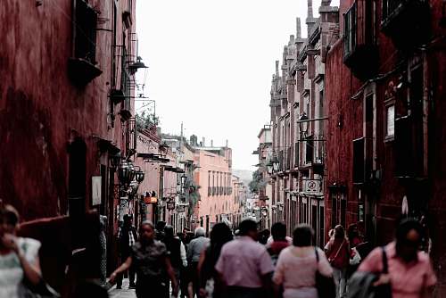 street people walking on street during daytime town