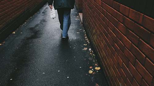 person person walking on black-paved alley human