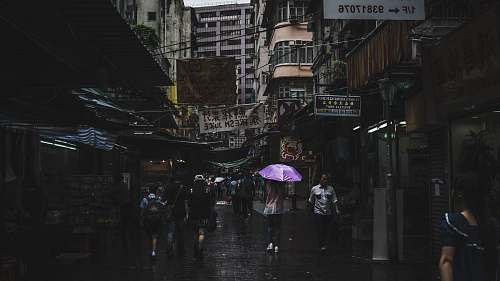 umbrella photography of people walk during rain building