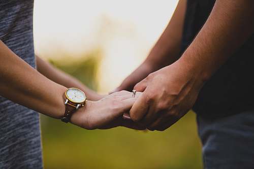 hand two person holding each other's hands holding hands
