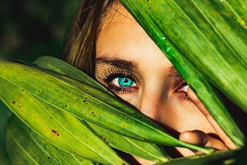 person woman behind green leaves plant