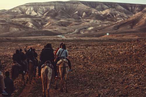 person woman riding horse during daytime desert