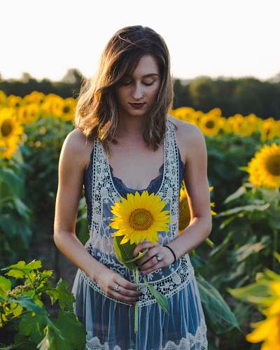 human woman standing at sunflower field woman