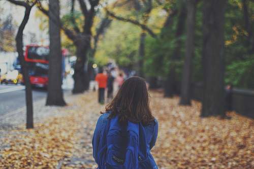 person woman with blue backpack on street full of fallen leaves human
