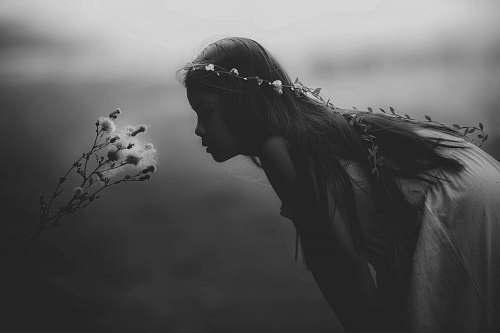 people grayscale photo of girl looking at flowers black-and-white