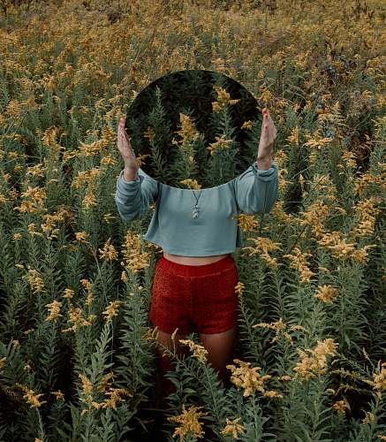 people standing woman surrounded by yellow flower field during daytime human