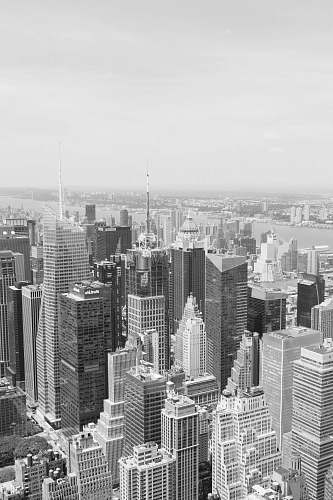 landscape bird's-eye view photography of city nature