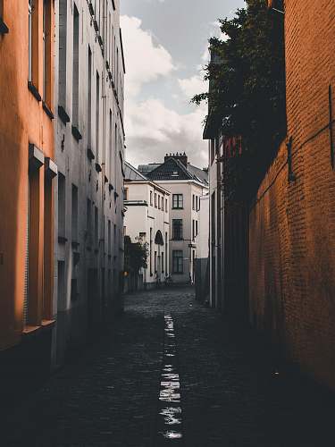 road  street