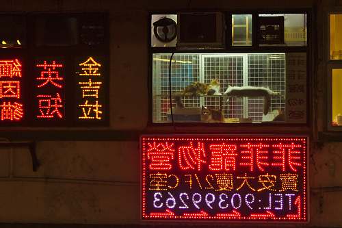 city 90399263 telephone number metropolis