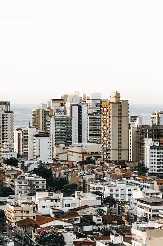 city aerial photograph of city structures urban