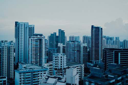 city aerial photography of an urban city high rise