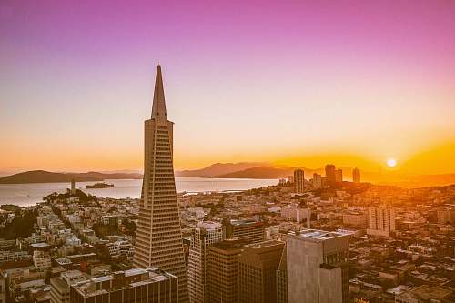 city aerial photography of building tower