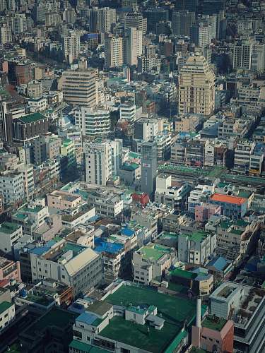city aerial photography of city busan tower