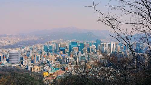 city aerial photography of city during daytime south korea