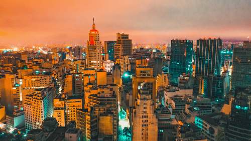 city aerial photography of city during night urban