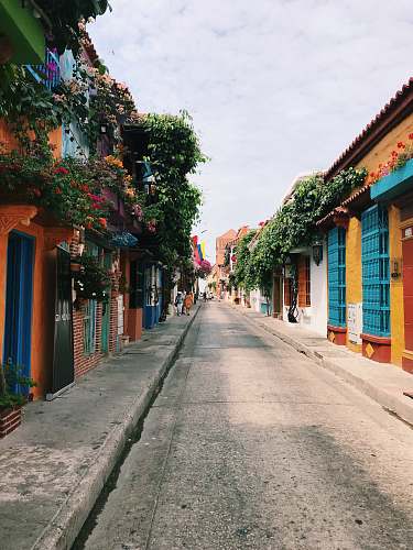 city alley photography of road during daytime street