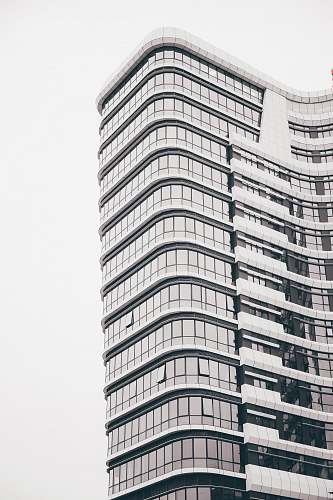 city architectural photography of white building high rise