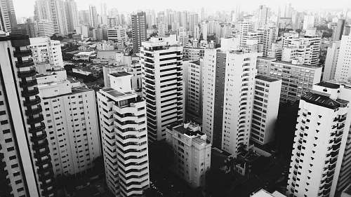 city arial view of city in grayscale photo black-and-white