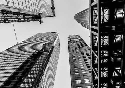 city bottom view of curtain wall highrise buildings during daytime black-and-white