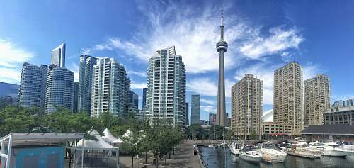 city building near body of water high rise
