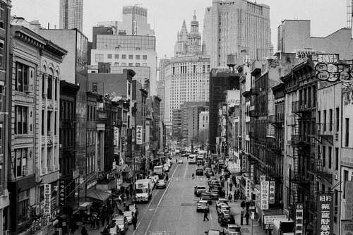city cars parked near buildings black-and-white