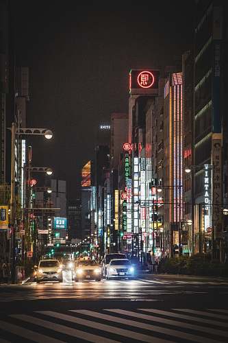city cars stopped on road by buildings during nighttime metropolis