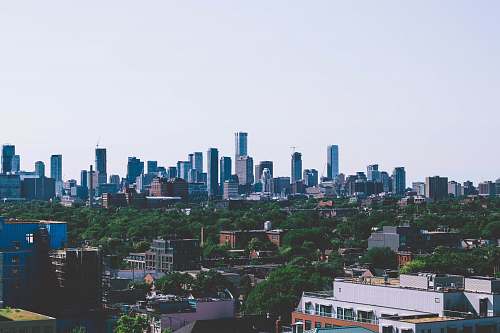 city city buildings near trees during daytime metropolis