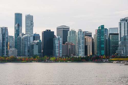 city gray concrete buildings near body of water high rise