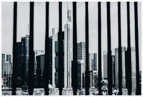 city gray scale photo of high-rise building high rise