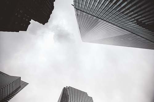 city grayscale low angle photography of high rise building black-and-white