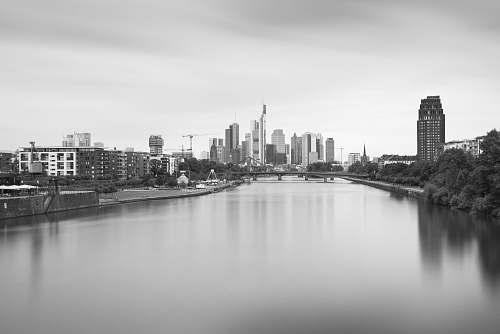 city grayscale photo of body of water near buildings black-and-white