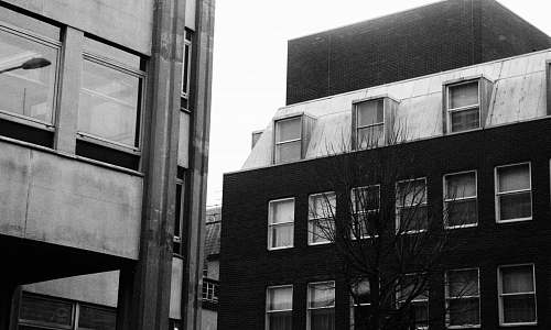 urban grayscale photo of building black-and-white