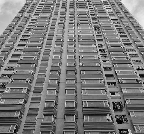 black-and-white grayscale photo of high-rise building grey