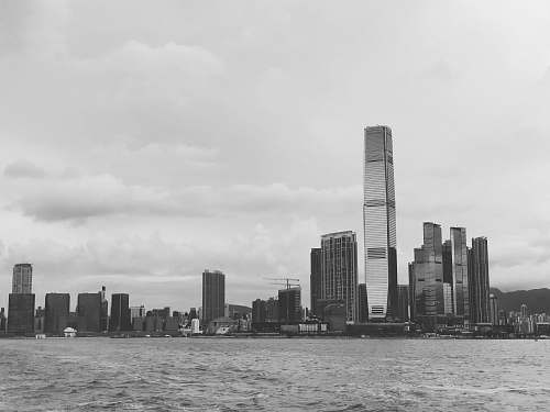 black-and-white grayscale photography of city skyline grey