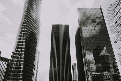 city grayscale photography of curtain-wall high-rise buildings high rise